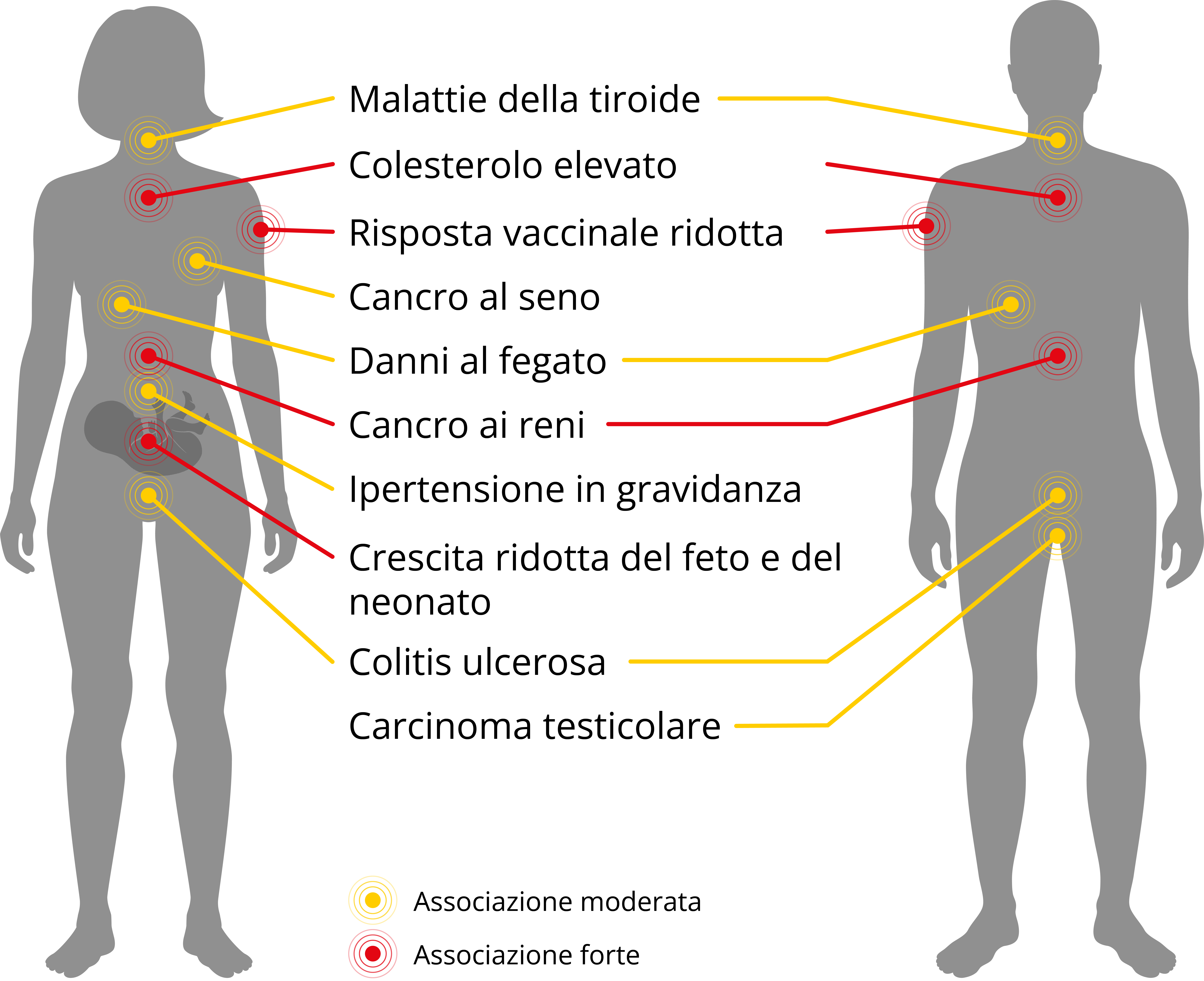 PFAS salute Rischi per la salute PFAS Effetti PFAS sul corpo umano PFAS sistema immunitario PFAS fertilità PFAS cancro PFAS gravidanza Danni alla salute da PFAS