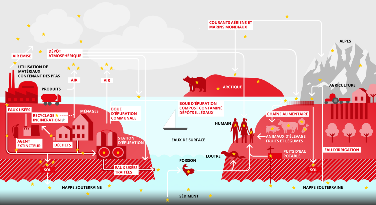 Propagation des PFAS
PFAS air eau sol
Contamination environnement PFAS
Circulation des PFAS
Pollution aux PFAS
PFAS Suisse environnement
Sources de dispersion des PFAS
Diffusion mondiale des PFAS
Présence des PFAS dans l’environnement